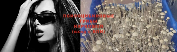 Альфа ПВП Вязники