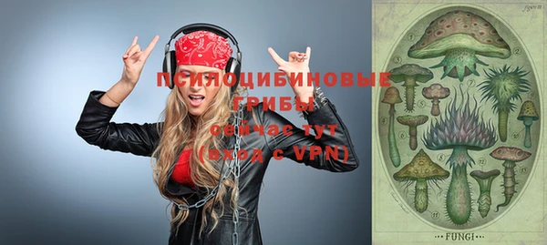 мдпв Усолье-Сибирское